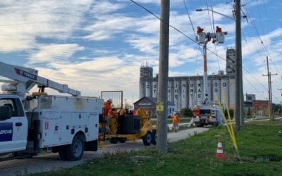 The Evolution of the Power Grid