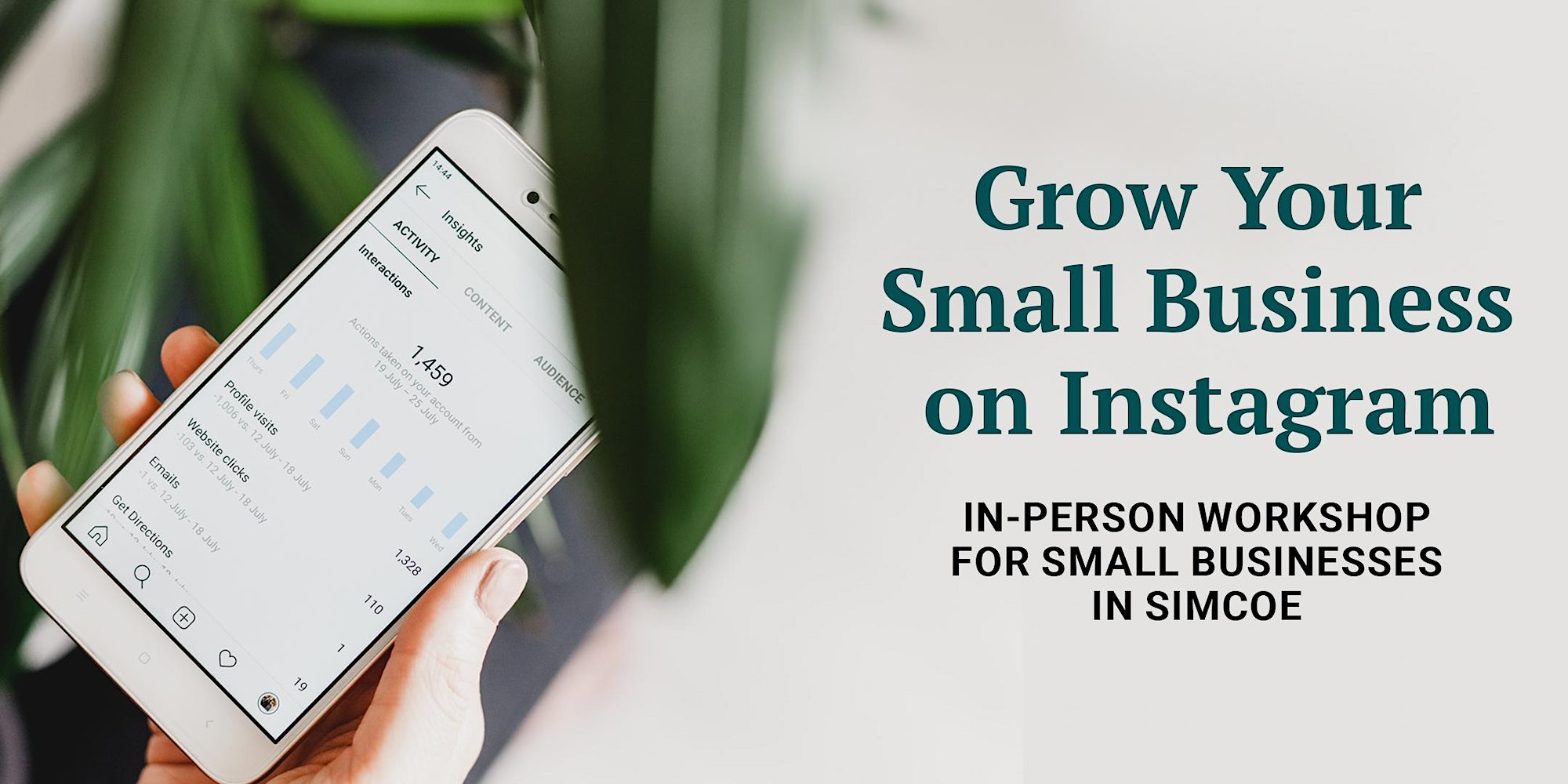 Grow your small business on Instagram: In-person workshop for small businesses in Simcoe.