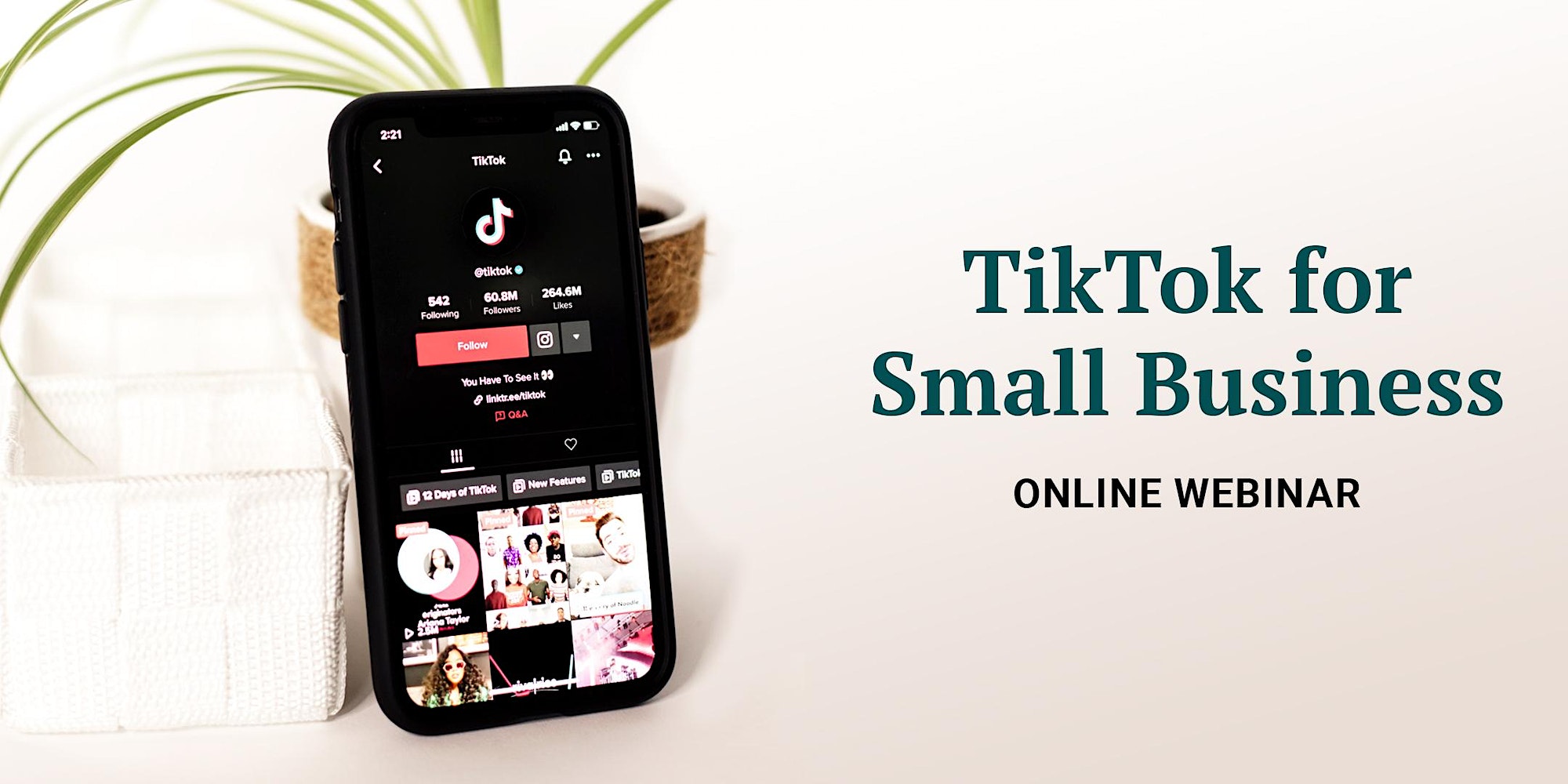 TikTok for Small Business: Online Webinar